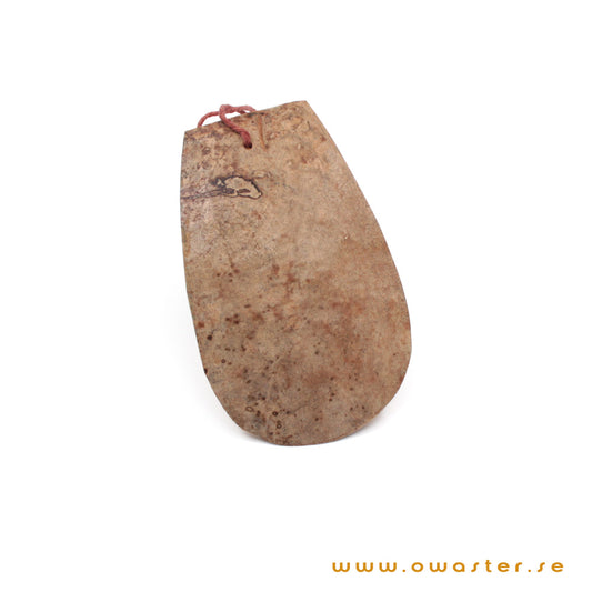 Diskskrapa av kokosnötsskal