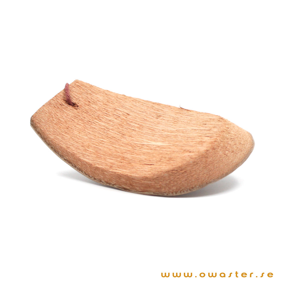 Diskskrapa av kokosnötsskal